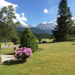 Ferienwohnungen Alpenblick Tilly