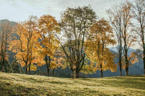 Ferienwohnungen Alpentraum - bergZeit