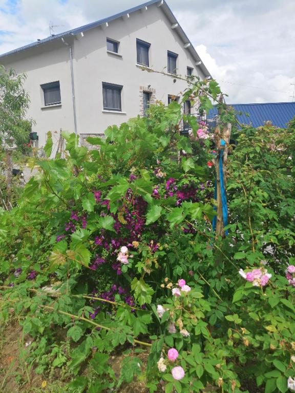 Ferienwohnungen Alpentraum - Dahoam