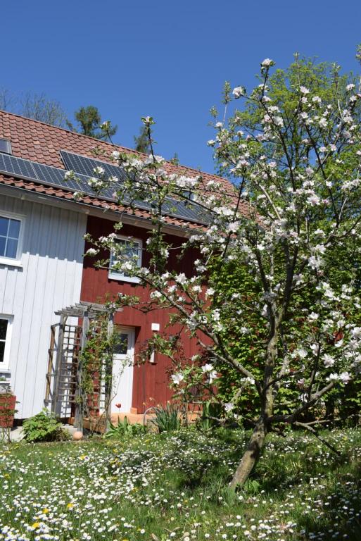 Ferienwohnungen Dornröschen 15 Heckenweg OG - 1, 88138 Weißensberg