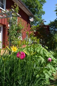 Appartement Ferienwohnungen Dornröschen 15 Heckenweg OG - 1 88138 Weißensberg Bade-Wurtemberg