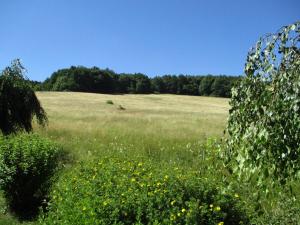 Ferienwohnungen \