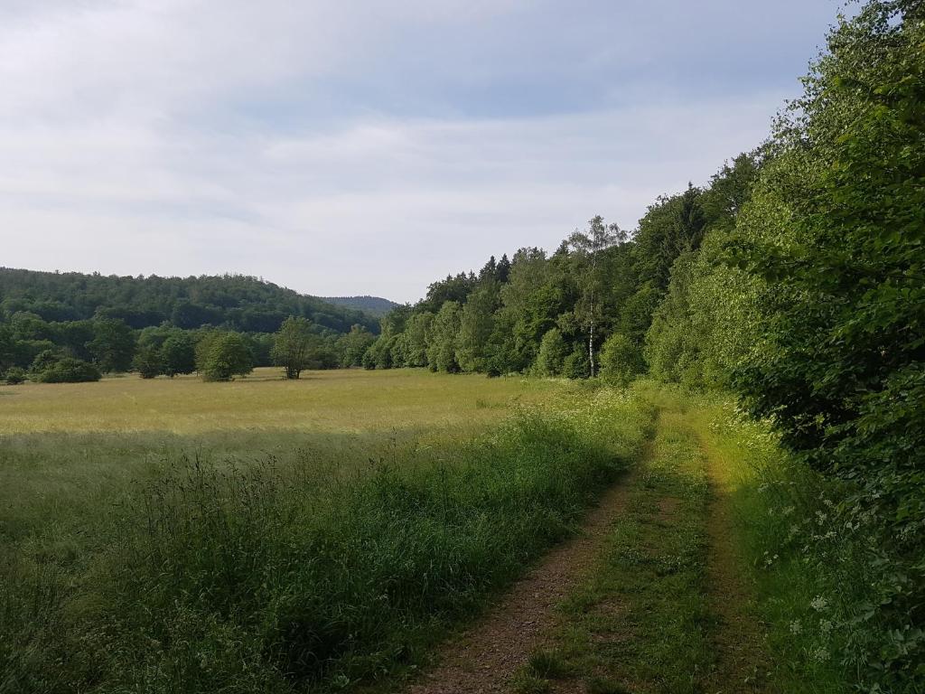 ferienwohnungen.ruhla Käthe-Kollwitz Strasse 22, 99842 Ruhla