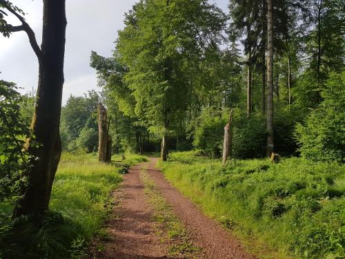 ferienwohnungen.ruhla