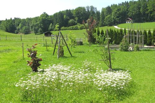 Ferienwohnungen Wanderparadies