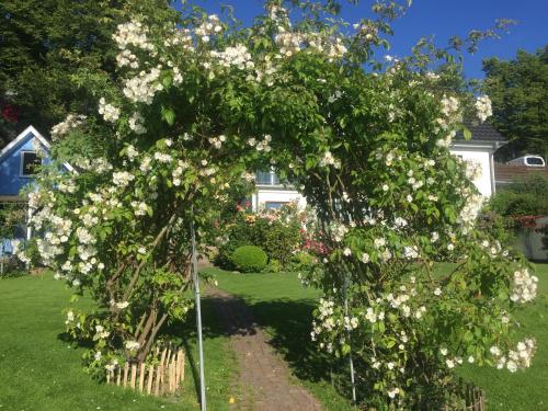 Appartement Ferienzimmer am See Möllner Straße 25 23909 Ratzebourg Schleswig-Holstein