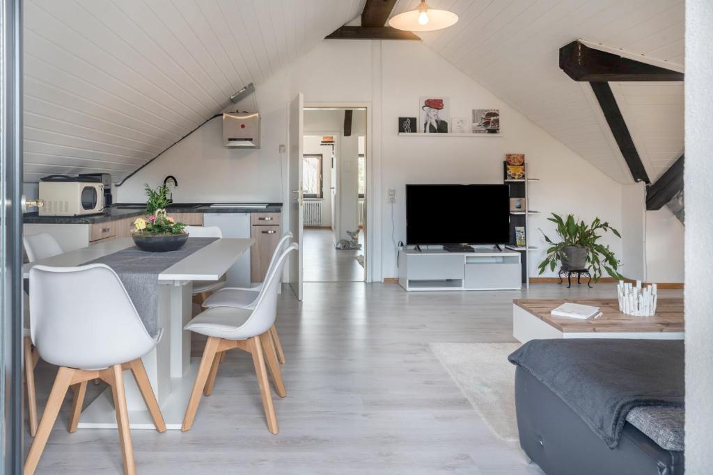 Appartement Ferreira's Loft - Ferienwohnung Weinbrennerstrasse 3 79837 St. Blasien