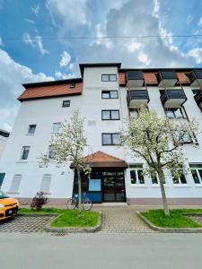 FESTWIESE - modernes Apartment nahe Neustadter Innenstadt