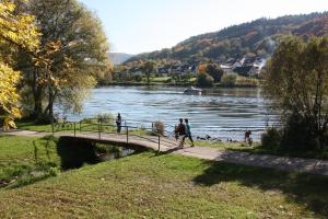 Fewo-am-Rotheschbach
