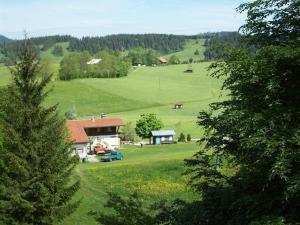 Fewo am Skihang / Bergwiese