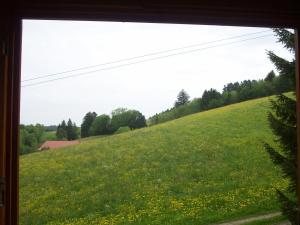 Fewo am Skihang / Bergwiese