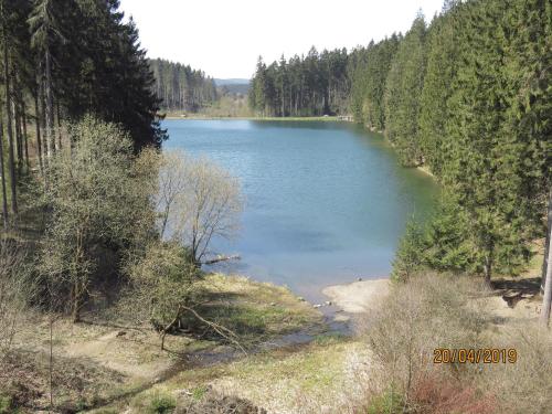 Fewo Am Wald 5