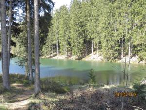Fewo Am Wald 5
