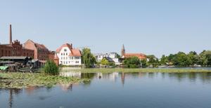 Fewo auf der Dominsel - SEEROSE