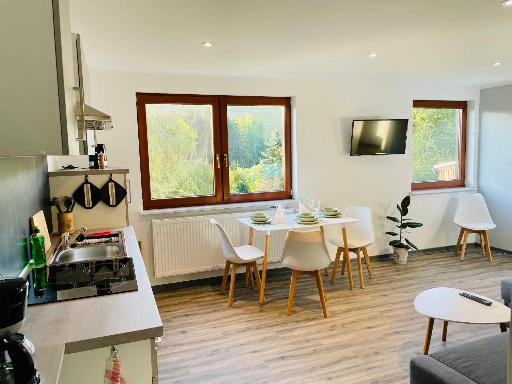 Appartement FeWo - Bergblick 9 Alter Staffelweg 08248 Klingenthal