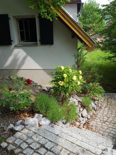 FeWo Bodetalblick Altenbrak