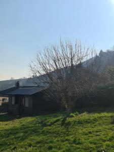 Fewo Burg Landeckblick mit großer Sonnenterrasse und herrlichem Ausblick