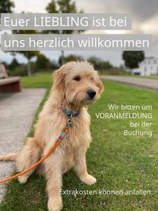 FeWo Clemens - Wohnküche + 2 Schlafräume + Bad + Terrasse
