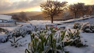 Fewo-Eifel-Morsbach