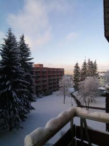 Appartement FeWo Eisblume. Erholung im wunderschönem Harz! 34 Auf dem Glockenberg 38707 Altenau Basse-Saxe