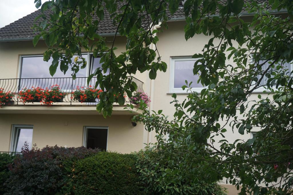 Appartement FeWo Goebel Beethovenstraße Beethovenstrasse 10 56812 Cochem