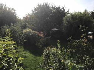 Fewo in sonniger Lage in Sagard