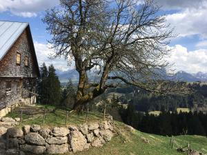 Fewo in Tiefenberg/ Allgäu