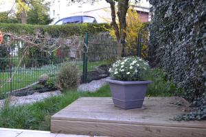 FeWo Kleeblatt mit eigener Terrasse