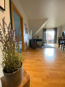 Appartement Fewo Kolibri- mit Waschmaschine- Kiebitzweg 11b 23769 Petersdorf auf Fehmarn Schleswig-Holstein