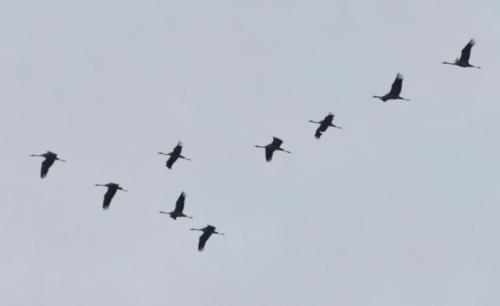 FEWO-Kramm Ostseebad Dierhagen