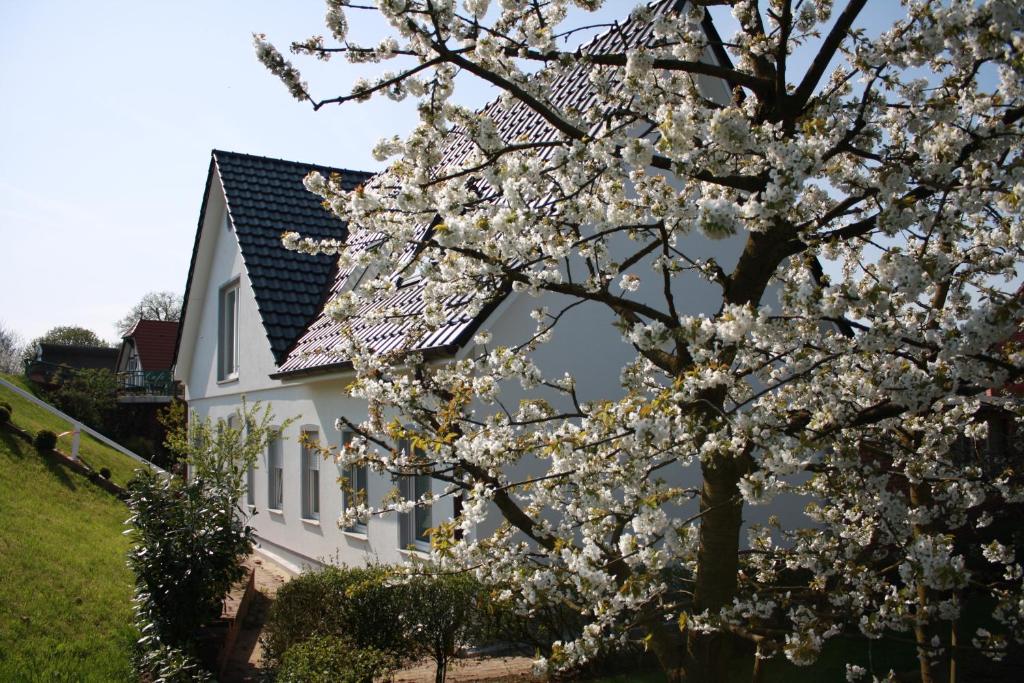 Fewo Lüheblick im Haus Lühegarten 14 Lühedeich, 21720 Grünendeich