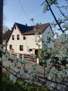 Appartement FeWo Mädi 2 Im Krummen Tal 51570 Windeck Rhénanie du Nord - Westphalie