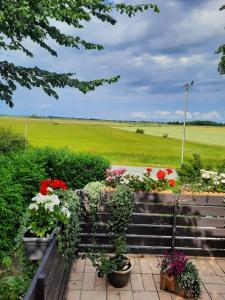 FeWo Min Egen in Neukirchen