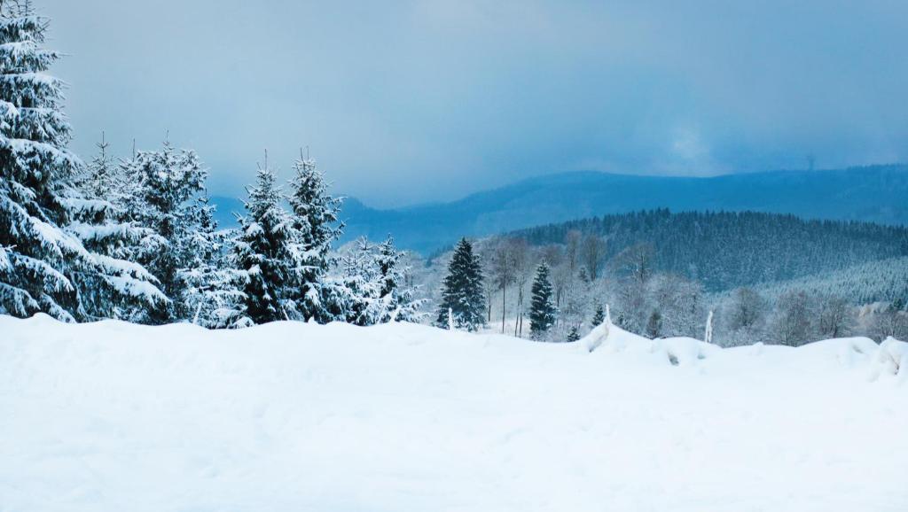 FeWo mit Terrasse und Bergblick- Winterberg 19A Zum Pölz EG rechts, 59955 Winterberg