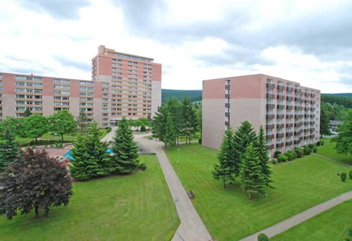 Appartement FeWo Regenbogen. Jeden Tag bunt starten! 42 Auf dem Glockenberg 38707 Altenau