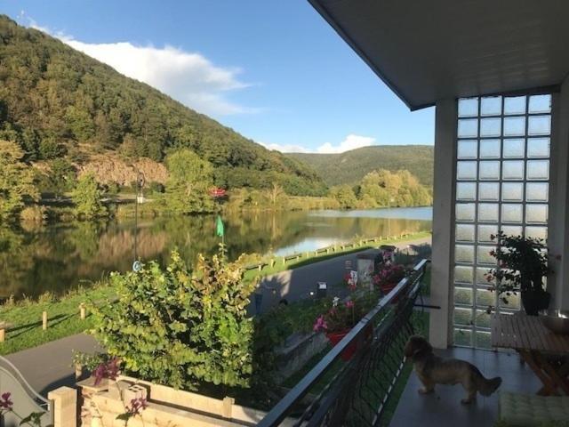 Fewo Schwalbennest im Hillehof 01814 Bad Schandau