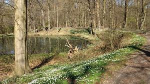 Fewo Sommerzeit