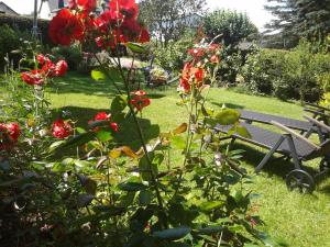 FeWo Sonnenblume