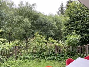 FeWo Wald Idyllika