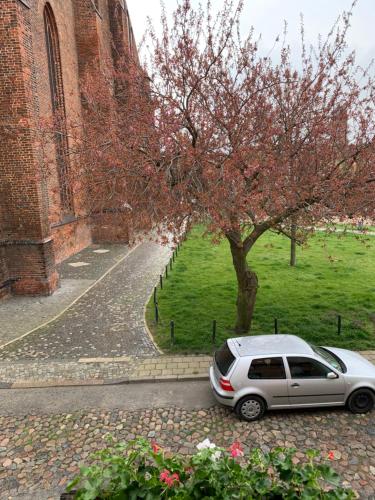 FeWo Wechselberger nahe am Meer