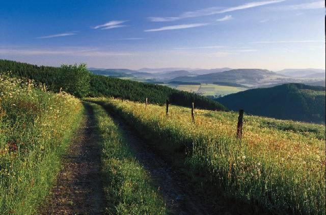 Fichtenweg 33 Fichtenweg, 59955 Winterberg