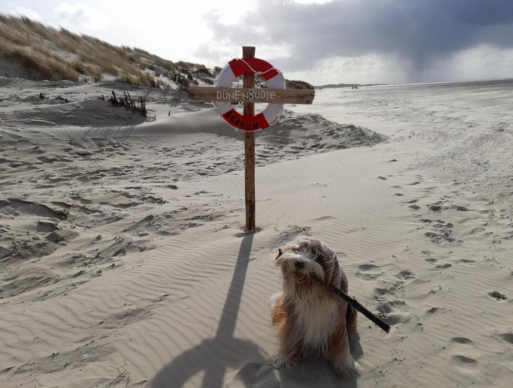 Fischerbalje 32 Wilhelm-Feldhoff-Straße, 26757 Borkum