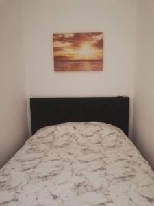 Flamingo Apartment