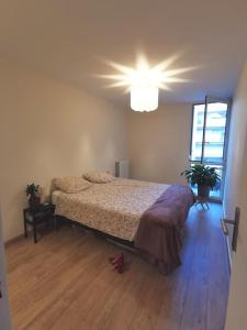 FLC 3 rooms Gare St Charles 1,5km Hyper Centre