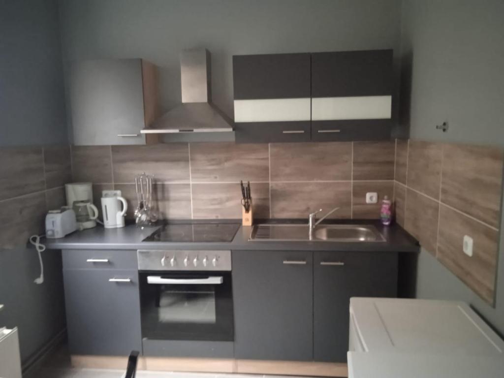 Appartement Flensburg Zentrum 50 1 50 Große Straße 24937 Flensbourg