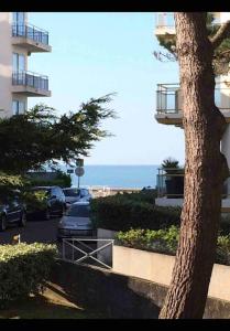 Fleur de Sel La Baule - Sa plage à 45 metres - T2 au calme dans les pins avec 4G et Wifi - 4 couchages confortables - Avenue Victor Hugo