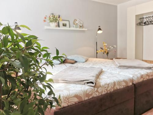 flex living - Business- und Ferienwohnung Wassermann