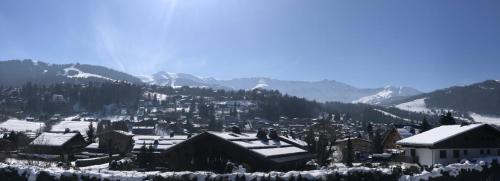Flocon U Bon Slo Megève