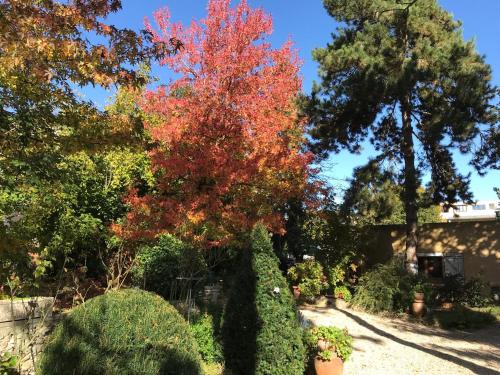 Appartement fond de jardin rez-de-chaussée Palaiseau france