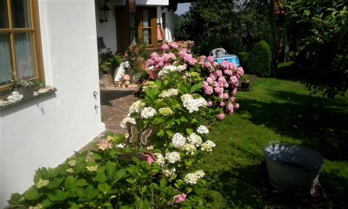 Forsthaus Röthelmoos